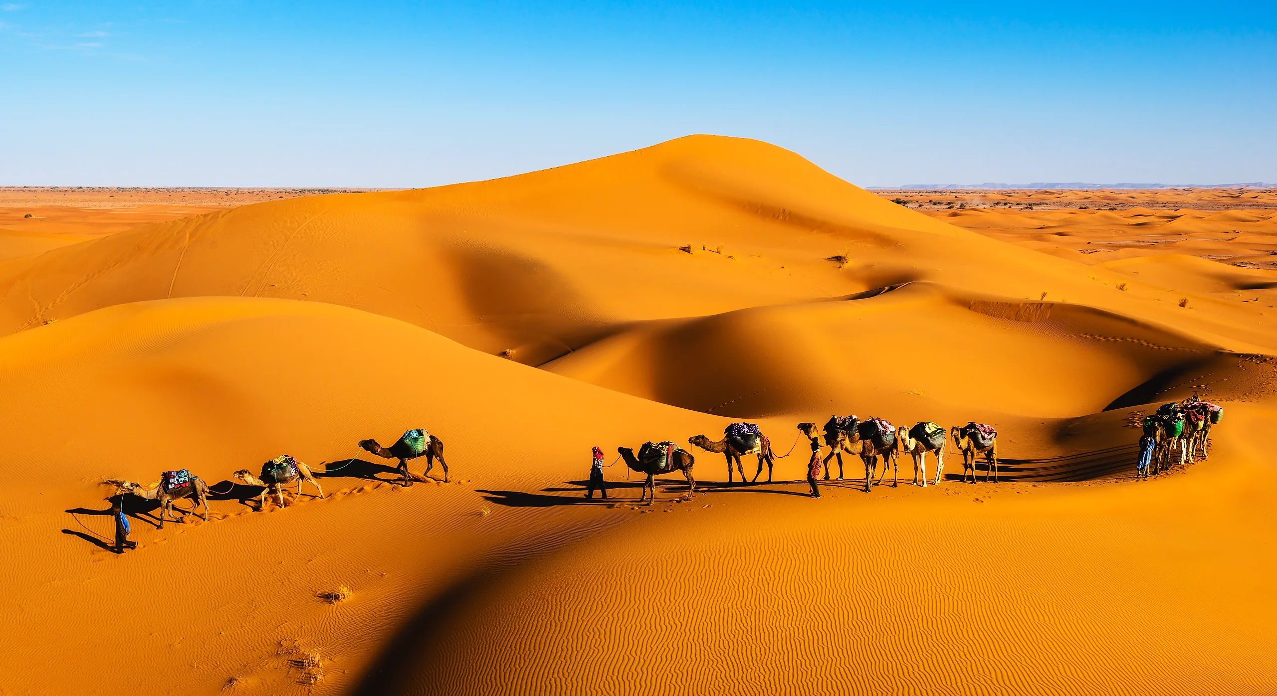 Sahara to Sea: Morocco Complete — Full-country circuit, Morocco