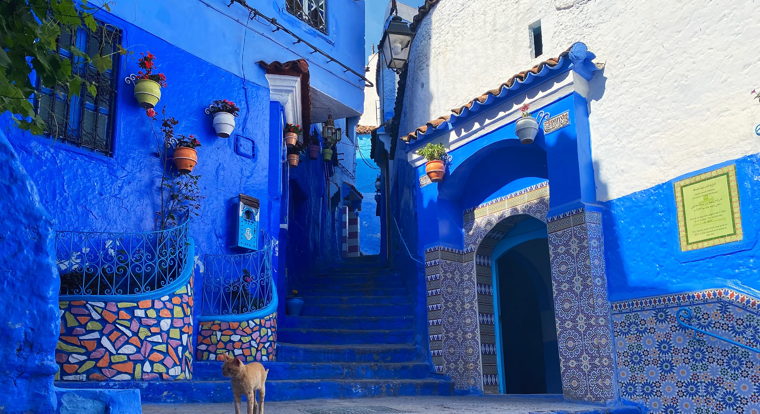 Blue-washed steps and a tiled doorway in the Chefchaouen medina