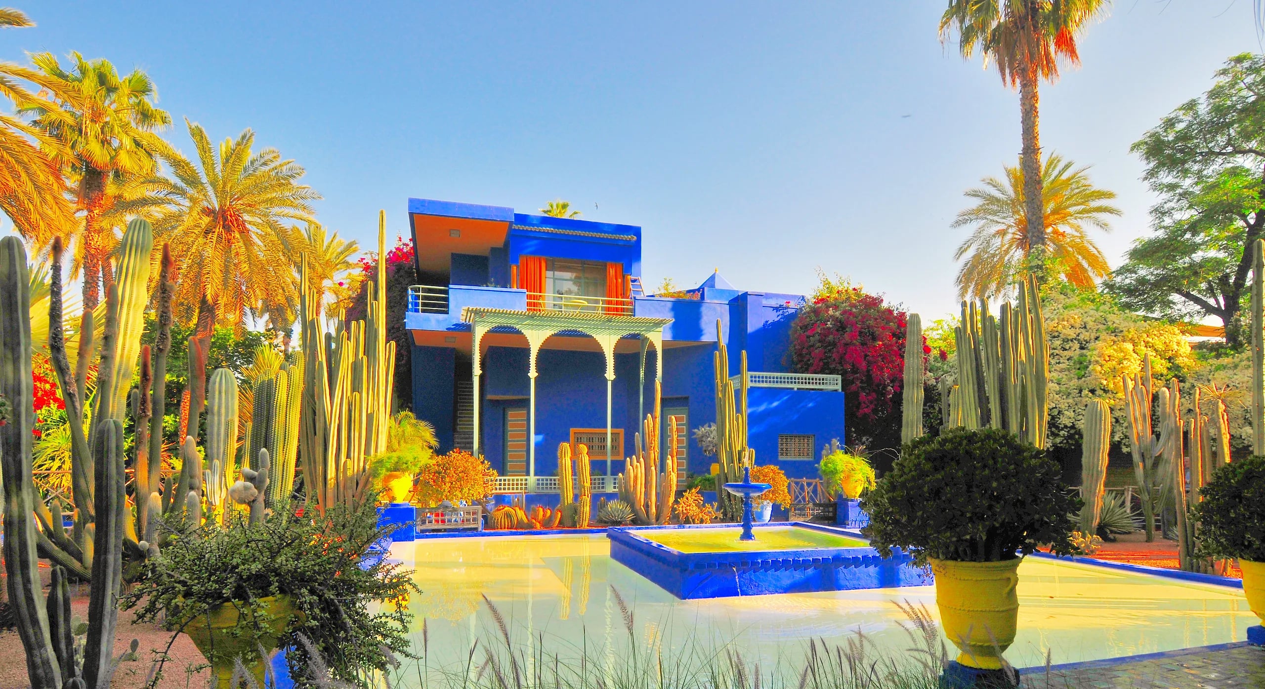 The cobalt-blue villa and cactus garden of the Jardin Majorelle