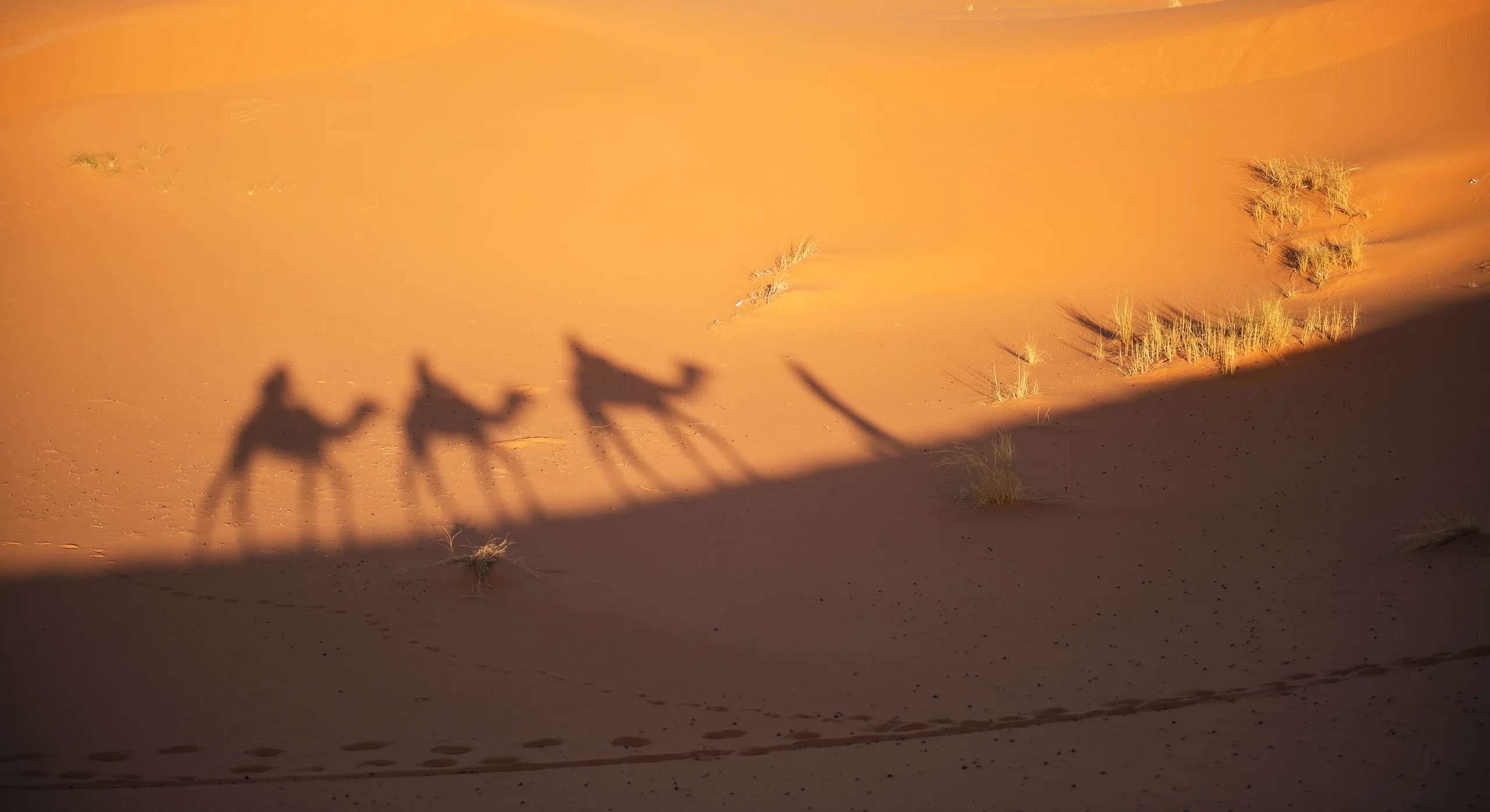 Sahara Desert Luxury Expedition — Marrakech → Erg Chebbi, Morocco