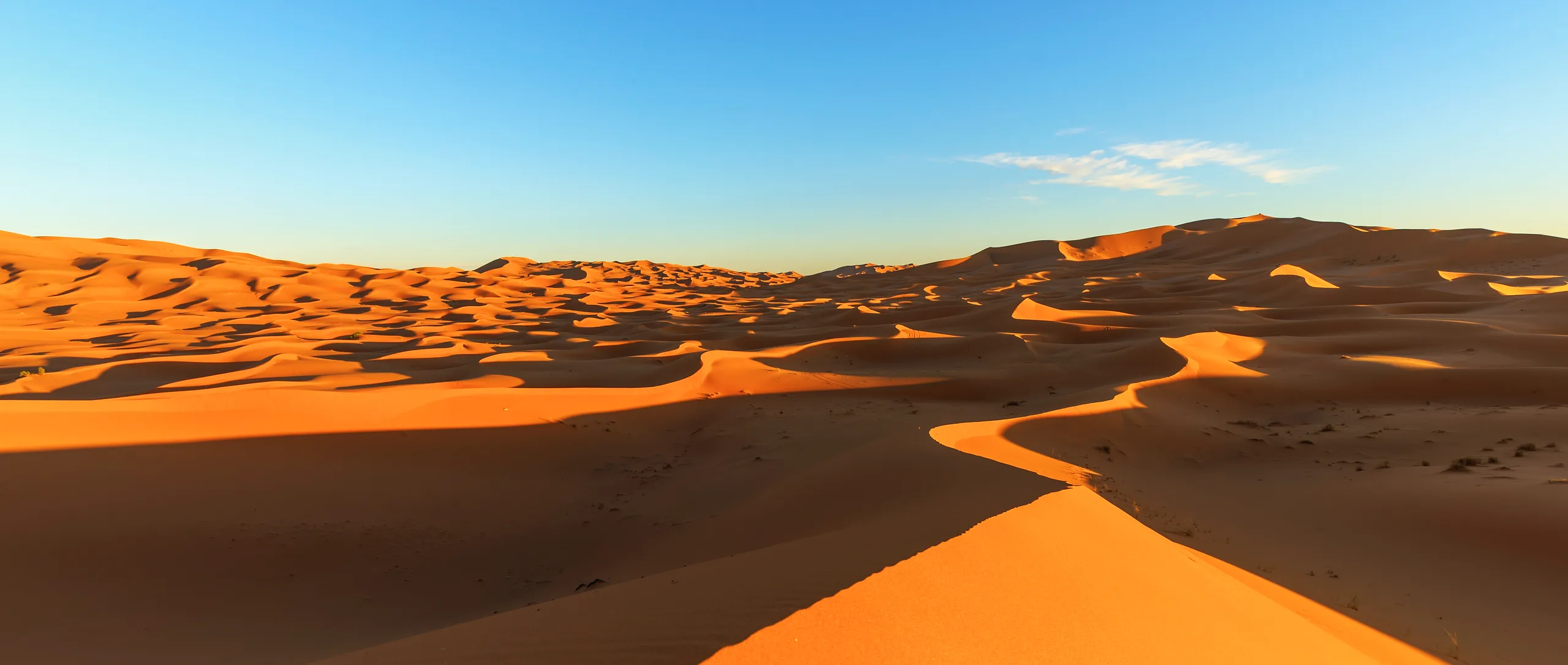 The Best Sahara Desert Experiences Beyond Camel Rides