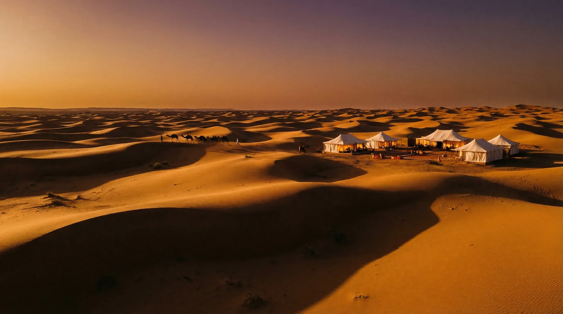 Desert Adventures